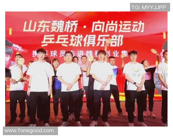 西安乒乓球队转型升级之路探秘与未来展望