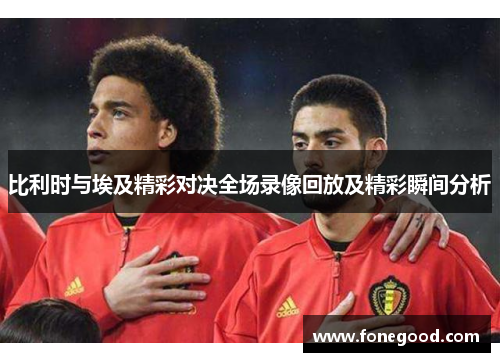 比利时与埃及精彩对决全场录像回放及精彩瞬间分析
