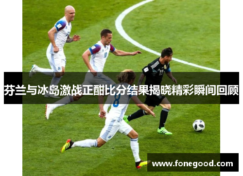 芬兰与冰岛激战正酣比分结果揭晓精彩瞬间回顾